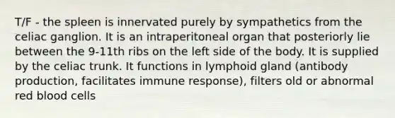 T/F - the spleen is innervated purely by sympathetics from the celiac ganglion. It is an intraperitoneal organ that posteriorly lie between the 9-11th ribs on the left side of the body. It is supplied by the celiac trunk. It functions in lymphoid gland (antibody production, facilitates immune response), filters old or abnormal red blood cells