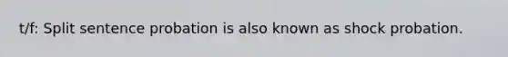 t/f: Split sentence probation is also known as shock probation.