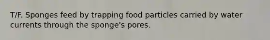 T/F. Sponges feed by trapping food particles carried by water currents through the sponge's pores.