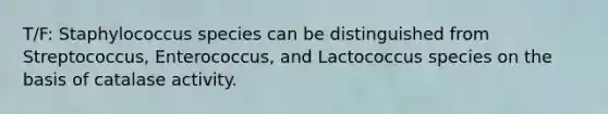 T/F: Staphylococcus species can be distinguished from Streptococcus, Enterococcus, and Lactococcus species on the basis of catalase activity.