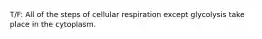 T/F: All of the steps of cellular respiration except glycolysis take place in the cytoplasm.