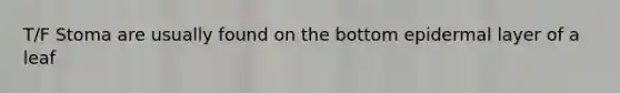T/F Stoma are usually found on the bottom epidermal layer of a leaf