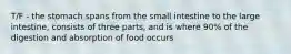 T/F - the stomach spans from the small intestine to the large intestine, consists of three parts, and is where 90% of the digestion and absorption of food occurs