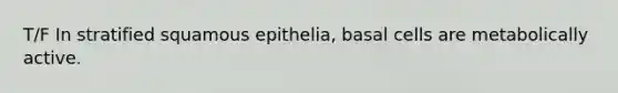 T/F In stratified squamous epithelia, basal cells are metabolically active.