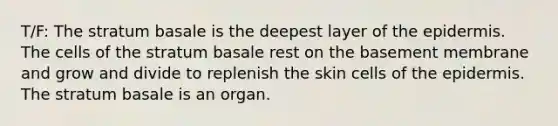 T/F: The stratum basale is the deepest layer of the epidermis. The cells of the stratum basale rest on the basement membrane and grow and divide to replenish the skin cells of the epidermis. The stratum basale is an organ.