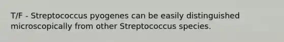 T/F - Streptococcus pyogenes can be easily distinguished microscopically from other Streptococcus species.