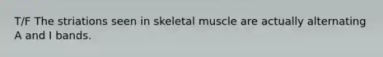 T/F The striations seen in skeletal muscle are actually alternating A and I bands.