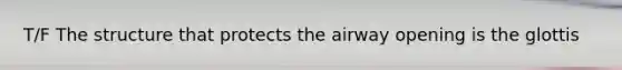 T/F The structure that protects the airway opening is the glottis