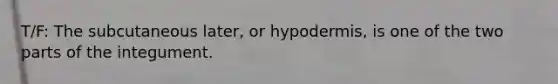 T/F: The subcutaneous later, or hypodermis, is one of the two parts of the integument.