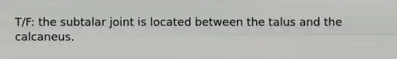 T/F: the subtalar joint is located between the talus and the calcaneus.