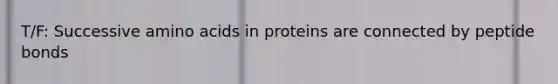 T/F: Successive amino acids in proteins are connected by peptide bonds