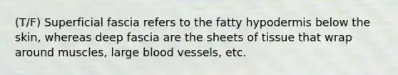 (T/F) Superficial fascia refers to the fatty hypodermis below the skin, whereas deep fascia are the sheets of tissue that wrap around muscles, large blood vessels, etc.