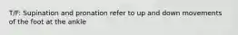 T/F: Supination and pronation refer to up and down movements of the foot at the ankle