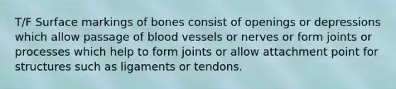 T/F Surface markings of bones consist of openings or depressions which allow passage of <a href='https://www.questionai.com/knowledge/kZJ3mNKN7P-blood-vessels' class='anchor-knowledge'>blood vessels</a> or nerves or form joints or processes which help to form joints or allow attachment point for structures such as ligaments or tendons.