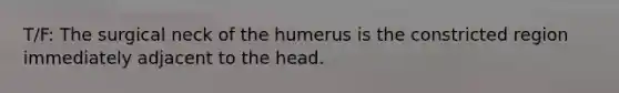 T/F: The surgical neck of the humerus is the constricted region immediately adjacent to the head.