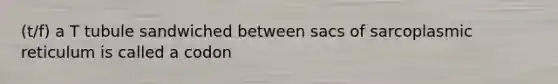 (t/f) a T tubule sandwiched between sacs of sarcoplasmic reticulum is called a codon