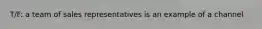 T/F: a team of sales representatives is an example of a channel