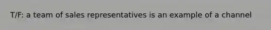 T/F: a team of sales representatives is an example of a channel