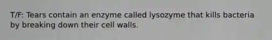 T/F: Tears contain an enzyme called lysozyme that kills bacteria by breaking down their cell walls.