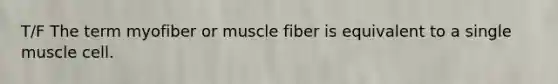 T/F The term myofiber or muscle fiber is equivalent to a single muscle cell.