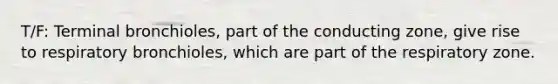 T/F: Terminal bronchioles, part of the conducting zone, give rise to respiratory bronchioles, which are part of the respiratory zone.