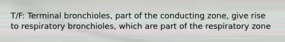 T/F: Terminal bronchioles, part of the conducting zone, give rise to respiratory bronchioles, which are part of the respiratory zone