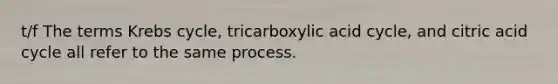 t/f The terms Krebs cycle, tricarboxylic acid cycle, and citric acid cycle all refer to the same process.