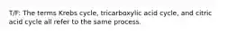 T/F: The terms Krebs cycle, tricarboxylic acid cycle, and citric acid cycle all refer to the same process.