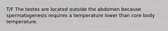 T/F The testes are located outside the abdomen because spermatogenesis requires a temperature lower than core body temperature.