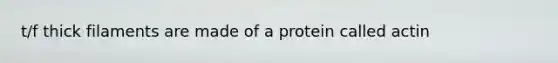 t/f thick filaments are made of a protein called actin