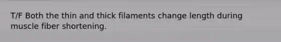 T/F Both the thin and thick filaments change length during muscle fiber shortening.