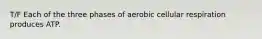 T/F Each of the three phases of aerobic cellular respiration produces ATP.