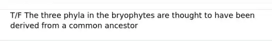 T/F The three phyla in the bryophytes are thought to have been derived from a common ancestor