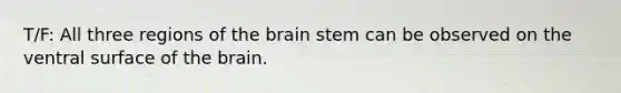 T/F: All three regions of the brain stem can be observed on the ventral surface of the brain.