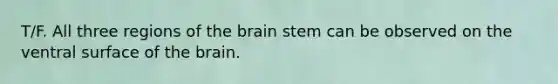 T/F. All three regions of the brain stem can be observed on the ventral surface of the brain.