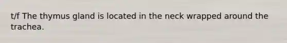 t/f The thymus gland is located in the neck wrapped around the trachea.