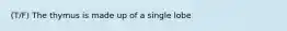 (T/F) The thymus is made up of a single lobe