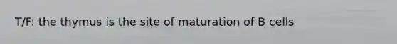 T/F: the thymus is the site of maturation of B cells