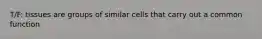 T/F: tissues are groups of similar cells that carry out a common function