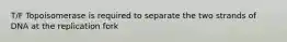 T/F Topoisomerase is required to separate the two strands of DNA at the replication fork