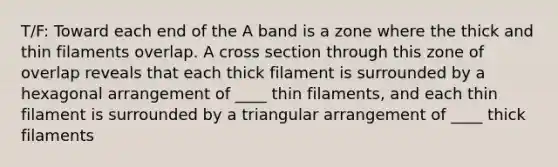 T/F: Toward each end of the A band is a zone where the thick and thin filaments overlap. A cross section through this zone of overlap reveals that each thick filament is surrounded by a hexagonal arrangement of ____ thin filaments, and each thin filament is surrounded by a triangular arrangement of ____ thick filaments