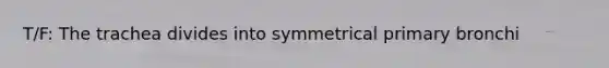 T/F: The trachea divides into symmetrical primary bronchi