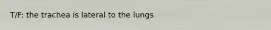 T/F: the trachea is lateral to the lungs