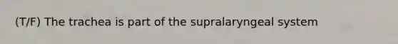 (T/F) The trachea is part of the supralaryngeal system