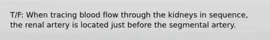 T/F: When tracing blood flow through the kidneys in sequence, the renal artery is located just before the segmental artery.