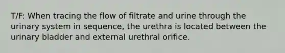 T/F: When tracing the flow of filtrate and urine through the urinary system in sequence, the urethra is located between the urinary bladder and external urethral orifice.