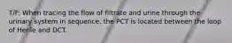 T/F: When tracing the flow of filtrate and urine through the urinary system in sequence, the PCT is located between the loop of Henle and DCT.