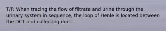 T/F: When tracing the flow of filtrate and urine through the urinary system in sequence, the loop of Henle is located between the DCT and collecting duct.