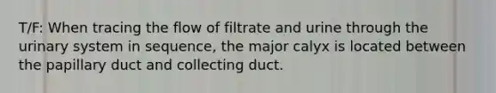 T/F: When tracing the flow of filtrate and urine through the urinary system in sequence, the major calyx is located between the papillary duct and collecting duct.