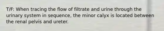 T/F: When tracing the flow of filtrate and urine through the urinary system in sequence, the minor calyx is located between the renal pelvis and ureter.